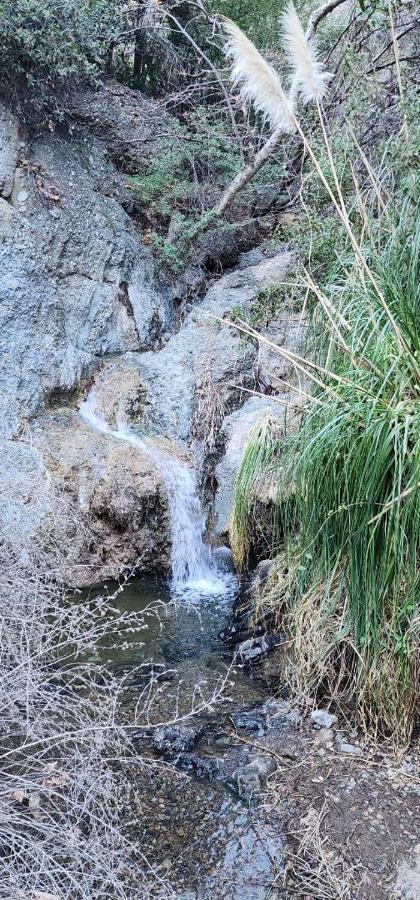 Heaven'S Best Kept Secret 4 Min From The Sea Los Angeles Bagian luar foto